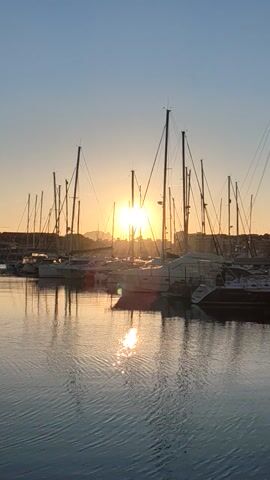 The video shows a marina at sunset. The sun is setting behind a row of sailboats, and its light is reflecting off the water. The masts of the sailboats are silhouetted against the sky. The sky is a clear blue, and the water is calm. There are some buildings in the background.