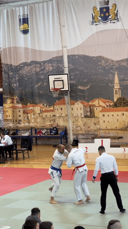 Martial arts tournament held in Budva gymnasium