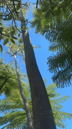 Wedding celebration documented at luxury Indonesian resort venue