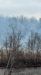 Field fire burns near Bolshoy Sabsk, Russia