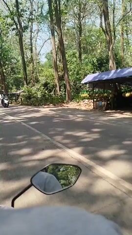 The video begins with a perspective from a motorcycle, showing the road ahead and trees on both sides. A person on a scooter is visible in the distance, moving away from the camera. As the motorcycle moves forward, a sign that reads "CAGAR ALAM" comes into view. The sign is large and appears to be made of individual letters, set against a backdrop of trees. There are also some small structures visible near the sign, resembling shelters or stalls. The overall environment suggests a park or natural reserve, with lush greenery and tall trees lining the road. The sun is shining, casting dappled shadows on the road and surrounding foliage.
