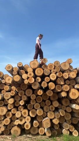 A woman in a white t-shirt and brown pants is walking across a large pile of logs under a bright blue sky. The logs appear to be freshly cut, with visible growth rings. The ground is covered with green grass. The woman is moving carefully, maintaining her balance as she navigates the uneven surface of the log pile.