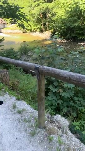 A clear, sunny day shows a wooden fence in the foreground bordering a gravel path. Beyond the fence, a clear river flows through a wooded area. A covered bridge is visible over the river, and water flows out from under it. Two people walk away from the camera on the path. The background is a steep, tree-covered mountainside under a bright blue sky.