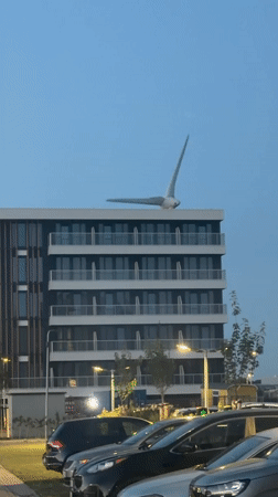 Bird sculpture on rooftop of modern building in Maasdijk