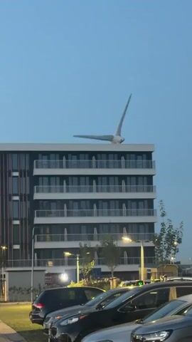 This video captures a unique art installation atop a modern, multi-story building. The primary subject is a large, stylized sculpture resembling a bird with its wings outstretched, positioned on the rooftop. The sculpture appears to be made of metal and has a sleek, aerodynamic design, with a prominent pointed tail and wide, sweeping wings.

The building itself is contemporary, featuring multiple floors with balconies and dark-tinted windows. The overall architecture suggests an urban or semi-urban environment. Below the building, several cars are parked, indicating a public or residential area. Streetlights are visible, and the sky is a clear, pale blue, suggesting it is either early morning or late evening. The lighting conditions are soft, hinting at twilight.

The sculpture's wings are in motion, giving the impression of flight or a dynamic pose. This movement is the central activity depicted. There are no people visible in the frame. The setting appears to be outdoors, with a clear sky overhead. The presence of trees and streetlights further reinforces the notion of an inhabited area.

No text is clearly legible in the video, although there is a blurred sign visible on a lamppost in the background. The overall mood is serene and perhaps a little surreal due to the unusual placement and dynamic nature of the art piece. The location context provided, Maasdijk, Netherlands, places this scene within a specific geographic region known for its modern architecture and, in some areas, wind energy infrastructure, which this sculpture might subtly allude to with its turbine-like form.