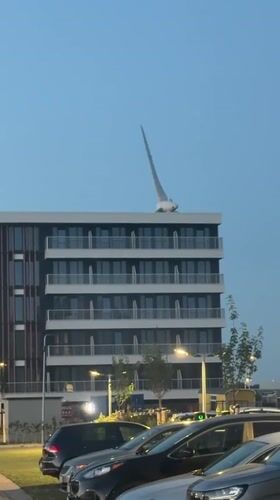 Bird sculpture on rooftop of modern building in Maasdijk