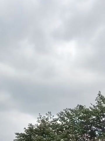 Okay, here is a detailed description of the video:

The video shows a view of a cloudy sky, with the tops of trees visible in the lower portion of the frame. The clouds are thick and gray, suggesting overcast conditions. The trees appear to be full and green, filling the bottom section of the view. The camera is static, and there don't appear to be any specific actions or interactions taking place during the short timeframe of the video.