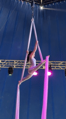 Aerial silks performance inside a blue circus tent, Fort Erie