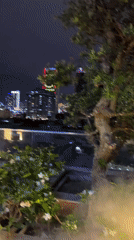 Rooftop dining and city views captured in Đà Nẵng