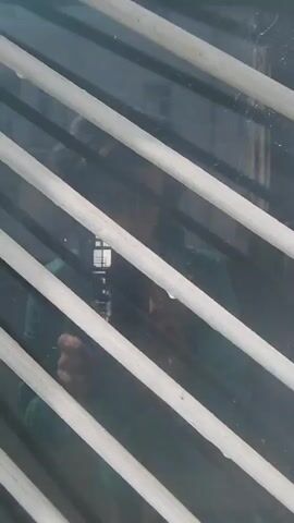 The video shows a close-up view through a dirty glass window obscured by painted white bars. The camera focuses on a thin spiderweb attached to the glass. In the background, shapes are visible through the window including a grid-like pattern resembling another window, and a blurred reflection of a person's face can be faintly seen. The video is shot with a shallow depth of field.