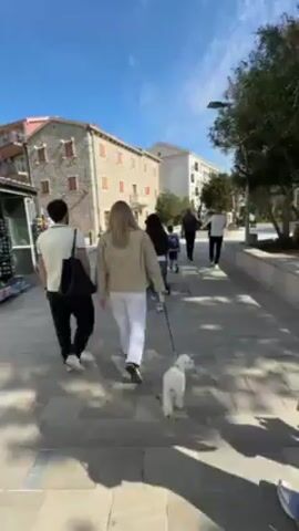 A group of people walks along a stone-tiled path on a sunny day, with a small white dog on a leash walking among them. Buildings are visible on either side of the path, one constructed of light-colored stone, and the other a taller, white structure. A small vendor stand can be seen on the left side of the path. Several other pedestrians walk in the same direction, including one pushing a stroller. The sky is blue with scattered clouds.