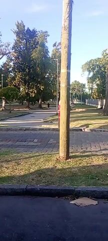 A person in a red shirt walks away down a sidewalk in a park on a sunny day.  A utility pole stands in the foreground, with trees and other people in the background.  The park has green grass, walking paths, and several trees of varying sizes.  A street runs along the bottom of the frame.  A piece of cardboard is visible near the street.
