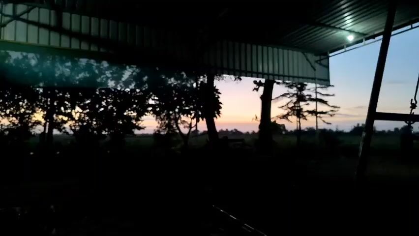 The video shows a dark silhouette of trees against a twilight sky. The sky has a gradient of light blue and orange hues. There is a metal roof structure visible in the foreground, casting shadows. A green net hangs from the roof. Part of a bed or seating area is also visible in the lower left corner. The scene appears to be outdoors, possibly in a rural or natural setting, at dusk or dawn.