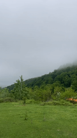 Foggy spring afternoon captured in rural Baranovka countryside