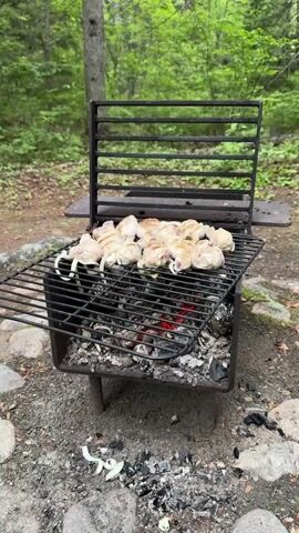 This video shows chicken pieces and onion slices being grilled over hot coals on a metal grate. The grill is outdoors in a wooded area, with trees and foliage visible in the background. The camera zooms in on the food cooking on the grill.