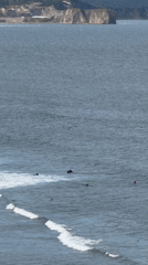 Surfing the cold, rocky coast of the Kuril Islands