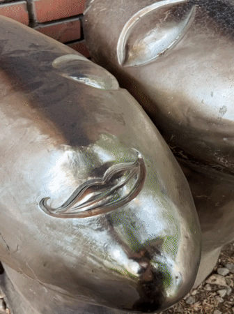 Metallic head sculptures documented in Plovdiv park