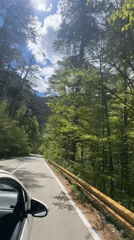 Car journey documented on tree-lined road in Montenegro
