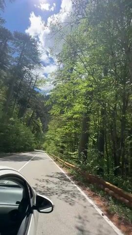 A car travels on an asphalt road flanked by lush green trees on either side. A white line marks the edge of the road, and a rusty metal guardrail runs parallel to the road on the right side. The car is white, with the side mirror visible in the frame. The sky is partly cloudy, with glimpses of blue sky peeking through the trees. The sun shines brightly, casting shadows on the road. The camera appears to be mounted inside the car, providing a driver's perspective. The audio indicates a strong wind noise.