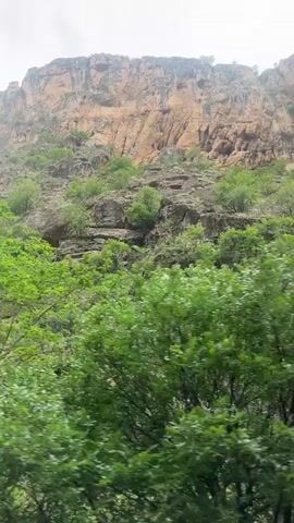The video shows a low-angle shot of a lush green landscape dominated by a large, steep rock face under a cloudy sky. The camera slowly pans downwards, revealing dense green trees and foliage in the foreground. The rock face in the background is rugged and appears to have varying shades of brown and grey, suggesting different rock types or weathering patterns. Throughout the video, a sound resembling wind can be heard.