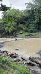 Motorcyclist crosses muddy river in Kerambitan, Indonesia