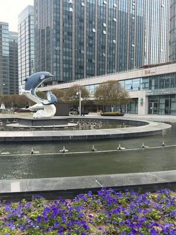 The video shows a fountain with a sculpture of two dolphins in the center. The fountain is surrounded by a circular pool and ringed with short metal pipes that likely spray water. In the foreground, there are blue flowers planted in a bed. Behind the fountain are several tall, modern buildings with glass facades. To the left of the fountain, a red, abstract sculpture is partially visible. The sky is overcast. There are benches and trees surrounding the fountain area, and a few people can be seen in the background.