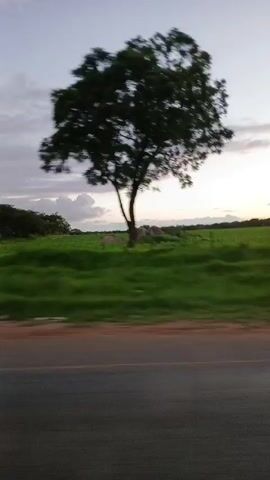 The video depicts a moving car driving on a road next to a grassy field with trees. The sky is overcast with hints of sunset. The camera angle is from inside the car, looking out the side window, which shows a side mirror of the vehicle. The overall impression is a peaceful drive in a rural area at dusk.