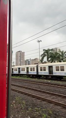 The video shows a view from inside a moving train. The perspective is from a window, with a red vertical pole visible on the left. Outside the window, another train with white and purple cars is passing by on parallel tracks. The background consists of several tall apartment buildings and a line of palm trees. Overhead, electrical wires and poles for the train system are visible against a cloudy sky. The camera appears to be held at a slight upward angle, capturing the passing train and the urban landscape.