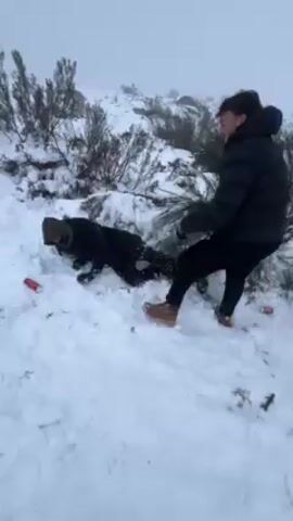 The video shows two people in a snowy, foggy outdoor environment. One person, dressed in a black jacket, black pants, and brown boots, is initially pulling something that is partially hidden by snow and vegetation. There are red cans (possibly Coca-Cola) scattered around. The other person is dressed in a black jacket with a hood, black pants, and dark gloves. The first person appears to put on a pair of large black gloves. The second person is shown to be picking up items in the snow, one of which looks like a pink glove. The first person then gives the second person a piggyback ride across the snowy landscape. A road and power lines are visible in the background. The day appears overcast and the environment is covered in a layer of snow.