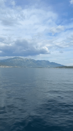Coastal scenes and blooming bougainvillea captured in Đenovići, Montenegro