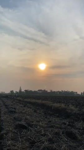 The video shows a vast, cloudy sky with the sun shining brightly in the center, casting a warm, hazy glow. Below the sky, a flat, dark landscape stretches across the horizon, appearing to be a tilled field or barren land with stubble and patches of dry grass. In the distance, a line of trees forms a dark silhouette against the sky, suggesting a wooded area or a forest bordering the field. The overall scene conveys a sense of open space and natural light, possibly at sunrise or sunset.