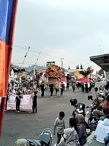 A parade is taking place on a street lined with spectators. On the left side of the street, a large, conical float resembling a cluster of flowers is being carried by several people dressed in black. To the right of this float, a large eagle-shaped float is being carried by more people in black. Both floats are moving down the street. Spectators are seated and standing on both sides of the street, watching the parade. There are some shops and buildings along the street. The sky is overcast.