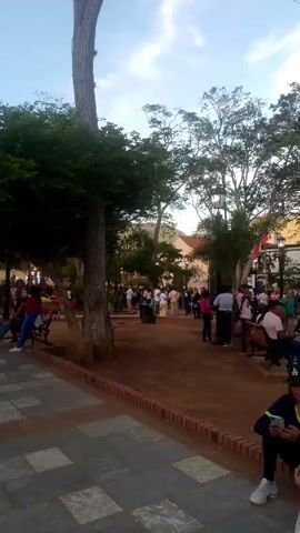 The video shows a public square with trees, benches, and people. The square is paved with gray tiles. Some people are sitting on benches, while others are walking around. Two people are sitting on the edge of the square, looking at their phones. A tree trunk is visible in the foreground. A street lamp can be seen in the background. The sky is partly cloudy.