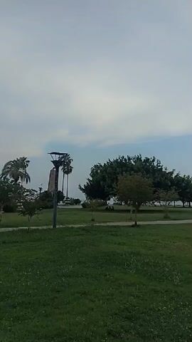 The video shows a park with green grass, trees, and palm trees. There are several lampposts visible throughout the park. In the background, a sign reads "MERAM BELEDİYESİ ATATÜRK PARK." The sky is overcast with clouds. The camera pans across the park, showing different views of the landscape and the sign.