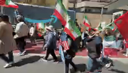 Multi-flag protest held in NYC park Sunday afternoon
