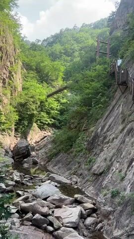 This video showcases a scenic mountain landscape in Sokcho-si, South Korea. The primary subjects are the rugged, rocky cliffs and lush green vegetation that characterize the natural setting. A prominent feature is a wooden walkway with railings constructed along the steep mountainside, allowing visitors to traverse the challenging terrain. This walkway includes several sets of stairs, indicating it's a hiking trail or a path designed for exploration.

In the distance, a suspension bridge is visible, spanning across a gorge, further suggesting a recreational or adventurous area. The scene is set in a natural canyon with a stream or river flowing over rocks at the bottom. The vegetation is dense with trees and smaller plants growing on the slopes and near the water.

The activity taking place is implied to be hiking or sightseeing, with the pathway designed to offer views of the impressive geological formations and surrounding nature. The time of day appears to be daytime, with the sky visible at the top of the frame suggesting it might be overcast or a bright, hazy day. There are no people visible in the frame, but the presence of the constructed path suggests human presence and activity in the area.

Notable details include the textured rock faces with visible cracks and moss, the sturdy wooden construction of the walkway and stairs, and the vibrant green of the trees. The overall impression is one of natural beauty and the human effort to make it accessible for enjoyment. There are small signs on the walkway, but the text is not legible. The environment evokes a sense of peace and the grandeur of nature.