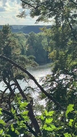 A vertical, medium shot captures a dappled sunlight view of a calm lake or river through trees. The foreground is dominated by dark, silhouetted branches and green leaves, with some of the leaves in focus. Beyond the trees, the water sparkles with reflected sunlight, suggesting a bright day. The middle ground is a dense forest with various shades of green foliage. The background shows a hazy horizon with more distant trees and a bright, overcast sky. There are no people or discernible actions in the video.