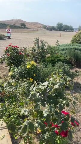 A static shot shows a garden in the foreground with red and yellow roses. In the mid-ground, two large statues stand on a gravel path. The statue on the left depicts a man in traditional clothing, holding a white object. The statue on the right depicts a woman in a green and red dress, also holding a white object. In the background, a golden-domed church stands on a hilltop. The sky is mostly clear with some clouds.