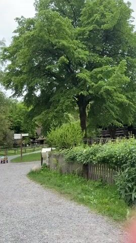 The video shows a gravel path leading to a traditional wooden building with a thatched roof. The path is lined with trees and a wooden fence covered in greenery. In the distance, there is a child's wagon and a signpost. The sky is overcast.