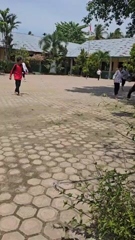 The video shows an outdoor scene, likely a schoolyard, with several children playing. The ground is a mixture of dirt and hexagonal paving stones. In the foreground, there are some green plants and bushes. In the background, there are buildings that appear to be classrooms, with a flag pole visible in the middle distance. Some of the children are wearing white shirts and black pants, while others are wearing red shirts. They seem to be engaged in some form of game, possibly involving kicking or throwing an object, as suggested by their movements and the presence of a small yellow object that might be a ball. The sun is shining brightly, casting shadows. The atmosphere appears to be lively and active.