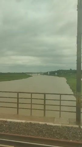 A video shows a view from a train as it crosses a bridge over a wide, muddy river. On the left bank of the river, there is a grassy field. On the right bank, there are trees and some buildings visible in the distance. The sky is cloudy. The train tracks are in the foreground, and a metal railing is visible along the edge of the bridge.