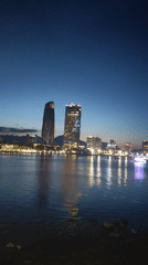 Tourist captures nighttime Đà Nẵng skyline across Hàn River