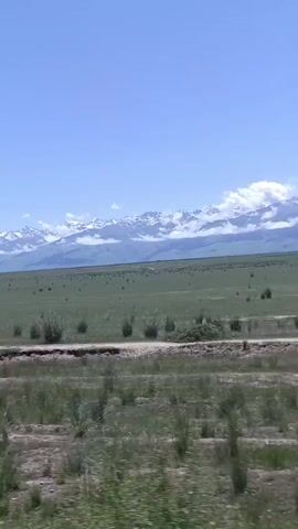 The video captures a scenic view of a vast, open grassland under a clear blue sky. In the distance, a range of snow-capped mountains stretches across the horizon, their peaks partially obscured by clouds. The foreground shows a dirt road with sparse vegetation, suggesting a rural or undeveloped area. The camera appears to be moving, likely from a vehicle, as the landscape gradually shifts and changes perspective. The overall impression is one of natural beauty and tranquility, with the grandeur of the mountains providing a dramatic backdrop to the rolling plains.