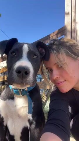 A woman and a black and white dog are captured in a close-up selfie outdoors under a clear blue sky in Sumalao, Argentina. The woman, with light-colored hair and a light complexion, is on the right side of the frame, smiling faintly and looking directly at the camera. She appears to be wearing a dark long-sleeved top. The dog, positioned on the left, has black fur with a white blaze on its face and a white chest and paws. It wears a blue collar with a blue leash hanging from it and is looking towards the camera with a gentle expression. Part of a wooden fence or structure is visible in the background, along with hints of green foliage. The scene is brightly lit, suggesting it is daytime with sunny weather.