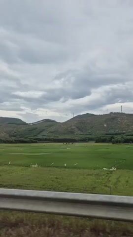 The video shows a view from a moving vehicle, looking out at a landscape under a cloudy sky. In the foreground, a metal guardrail is visible, with some dried grass and dirt below it. Beyond the guardrail is a vast, vibrant green field, possibly a rice paddy, divided into sections by thin lines, suggesting irrigation or pathways. Scattered white objects, possibly flags or markers, are spread throughout the field. In the mid-ground, a line of dark green trees forms a border between the field and the hills. The background is dominated by rolling hills, some of which appear to be partially cleared or terraced. Two tall electrical towers, one more prominent than the other, are visible on the hilltops. The overall impression is of a rural, possibly agricultural, setting.
