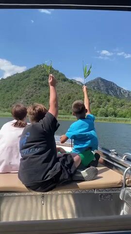A video shows three children on a boat on a lake. The two boys in the foreground are holding up green reeds or plants in their hands and reaching them towards the sky. The boy on the left is wearing a black t-shirt and the boy on the right is wearing a blue t-shirt. A girl is sitting to the left of the boys, facing away from the camera. In the background, there is a large, green, tree-covered mountain under a bright blue sky with scattered white clouds. The water of the lake is calm and reflects the sky. The boat appears to be made of metal and has cushioned seating. The overall scene suggests a recreational outing on a sunny day.