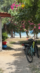 Quiet beach afternoon on Ko Samui, palms, sand, and parked bikes