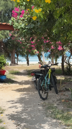 Quiet beach afternoon on Ko Samui, palms, sand, and parked bikes