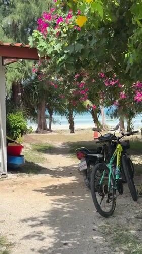 Quiet beach afternoon on Ko Samui, palms, sand, and parked bikes