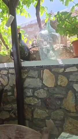 A video shows an outdoor seating area with people eating at tables under a vine-covered pergola. The area is decorated with stone walls and baskets. The people are casually dressed and appear to be enjoying a meal together. The weather is sunny and warm.